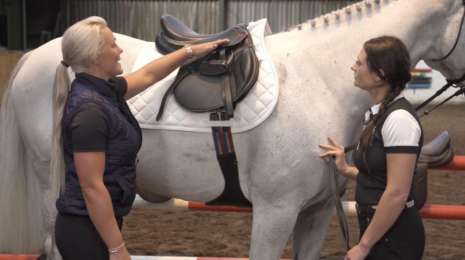 Saddle cleaning