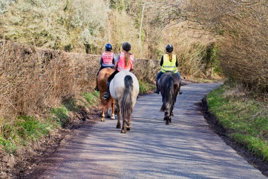 horse road safety